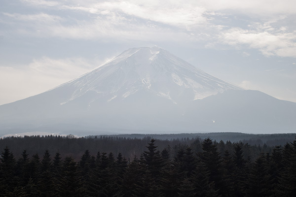 今日は富士山が薄いな・・・